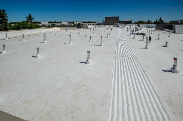 Best Green or Eco-Friendly Roofing Solutions  in Effort, PA